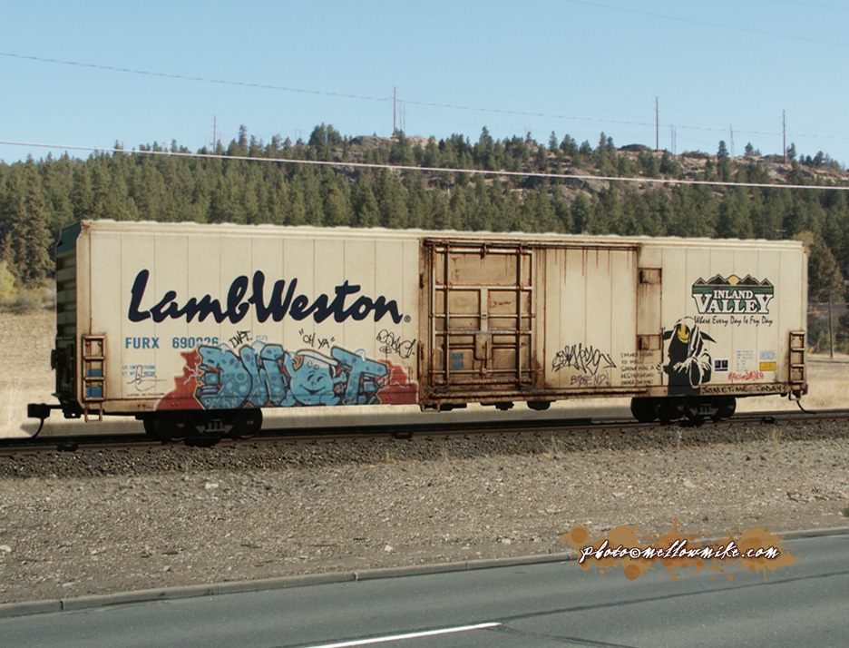 Lamb Weston 70' Cryo Reefer (46)